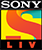 Digital Media Partners Sony LIV